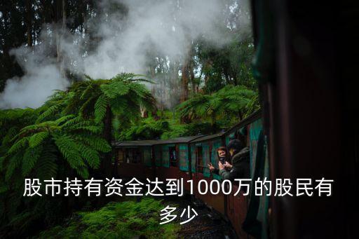 股市持有資金達(dá)到1000萬(wàn)的股民有多少