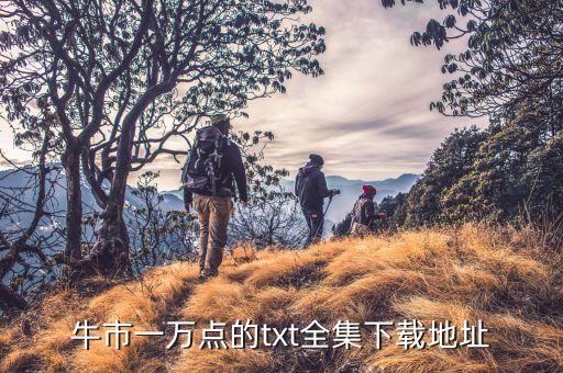 牛市一萬(wàn)點(diǎn)的txt全集下載地址