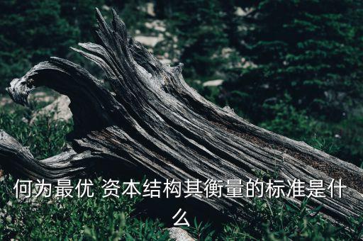 何為最優(yōu) 資本結(jié)構(gòu)其衡量的標(biāo)準(zhǔn)是什么