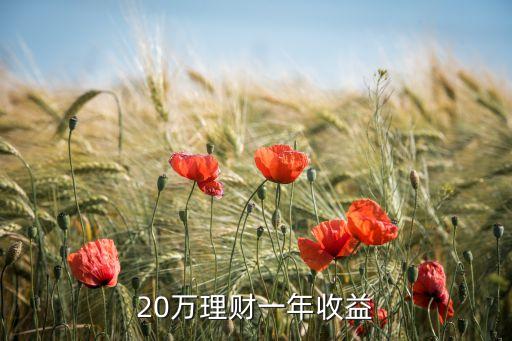 20萬理財(cái)一年收益