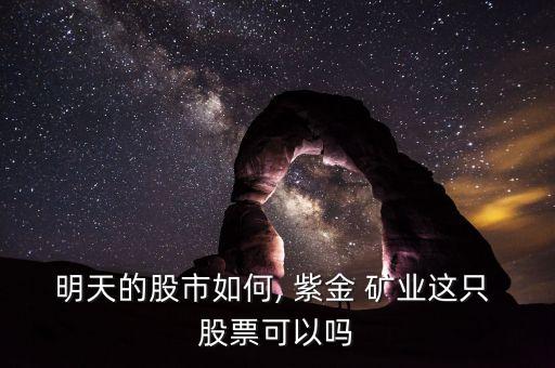 紫金礦業(yè)股票怎么樣,投資紫金礦業(yè)股票怎么樣