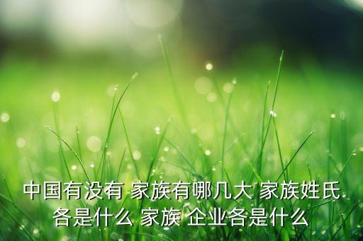 中國(guó)的家族企業(yè)有哪些,洛克菲勒家族企業(yè)有哪些