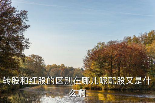 轉(zhuǎn)股和紅股的區(qū)別在哪兒呢配股又是什么啊