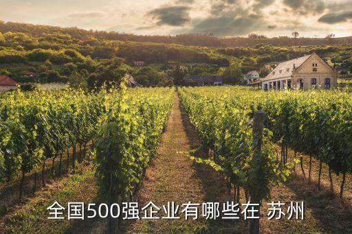 全國500強企業(yè)有哪些在 蘇州