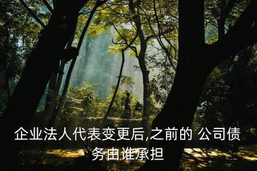 有限責任公司分立