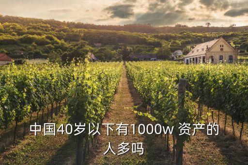 中國(guó)40歲以下有1000w 資產(chǎn)的人多嗎