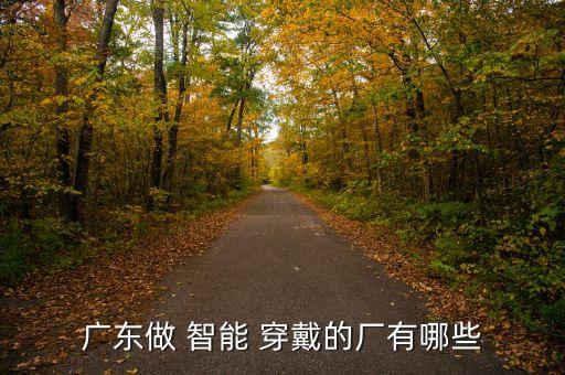 深圳紅豆穿戴智能科技有限公司