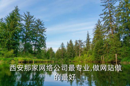  西安那家網(wǎng)絡(luò)公司最專業(yè),做網(wǎng)站做的最好