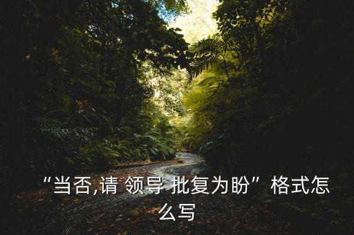 “當(dāng)否,請(qǐng) 領(lǐng)導(dǎo) 批復(fù)為盼”格式怎么寫