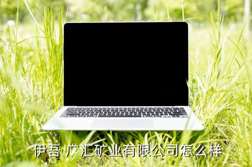 新疆廣匯新能源有限公司伊吾縣煤礦電話