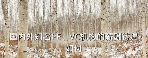 國內(nèi)外知名PE、VC機(jī)構(gòu)的薪酬待遇如何