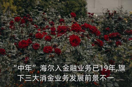 “中年”海爾入金融業(yè)務(wù)已19年,旗下三大消金業(yè)務(wù)發(fā)展前景不一