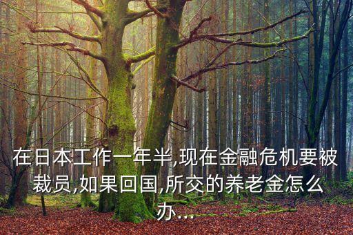 在日本工作一年半,現(xiàn)在金融危機要被 裁員,如果回國,所交的養(yǎng)老金怎么辦...