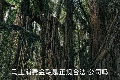 馬上消費金融是正規(guī)合法 公司嗎