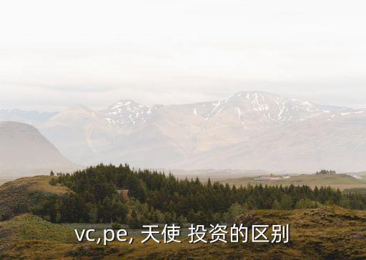 vc,pe, 天使 投資的區(qū)別