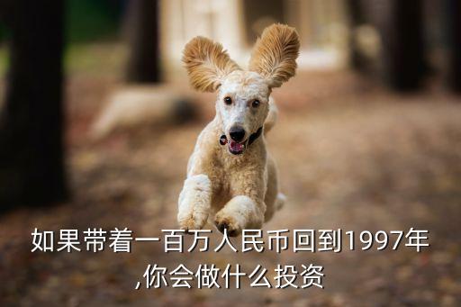 如果帶著一百萬(wàn)人民幣回到1997年,你會(huì)做什么投資