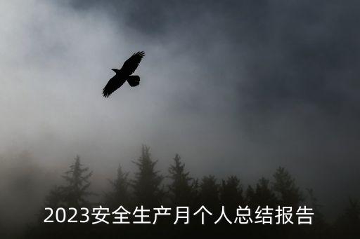 2023安全生產(chǎn)月個人總結(jié)報告