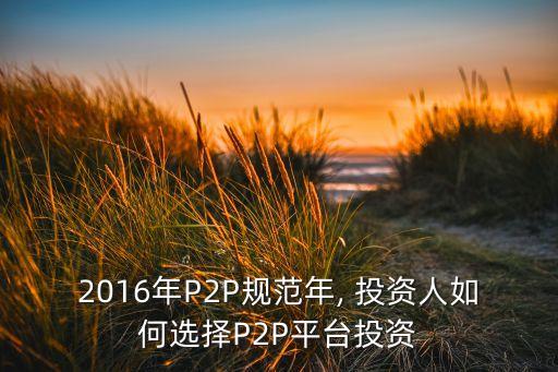 2016年P(guān)2P規(guī)范年, 投資人如何選擇P2P平臺(tái)投資