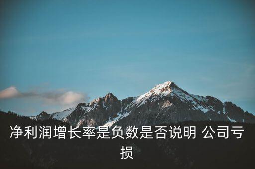 凈利潤增長率是負數(shù)是否說明 公司虧損