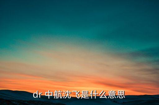 dr 中航沈飛是什么意思