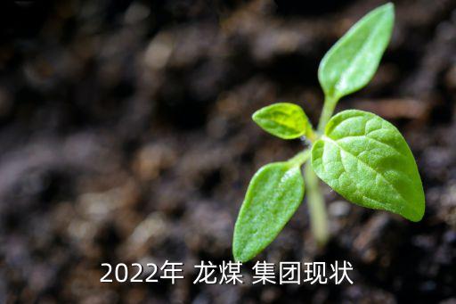 2022年 龍煤 集團(tuán)現(xiàn)狀