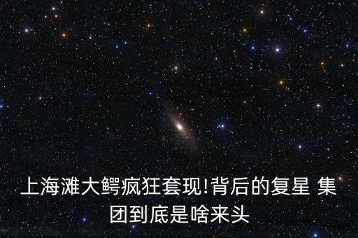 上海灘大鱷瘋狂套現(xiàn)!背后的復(fù)星 集團(tuán)到底是啥來(lái)頭