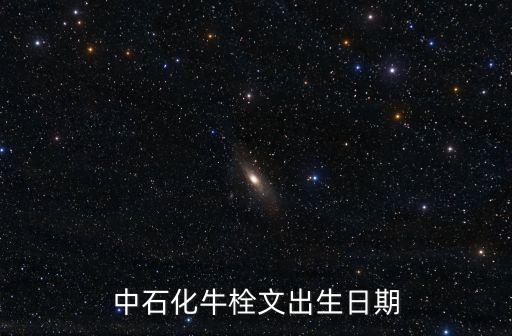 中石化牛栓文出生日期