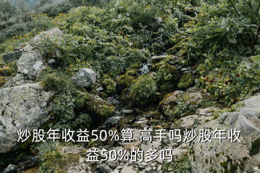 炒股年收益50%算 高手嗎炒股年收益50%的多嗎