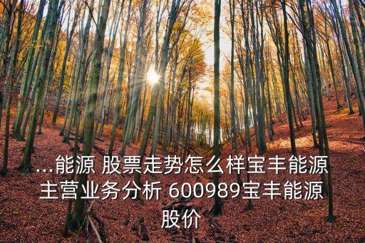 ...能源 股票走勢怎么樣寶豐能源主營業(yè)務分析 600989寶豐能源股價