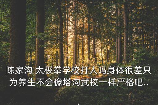 陳家溝 太極拳學(xué)校打人嗎身體很差只為養(yǎng)生不會像塔溝武校一樣嚴格吧...