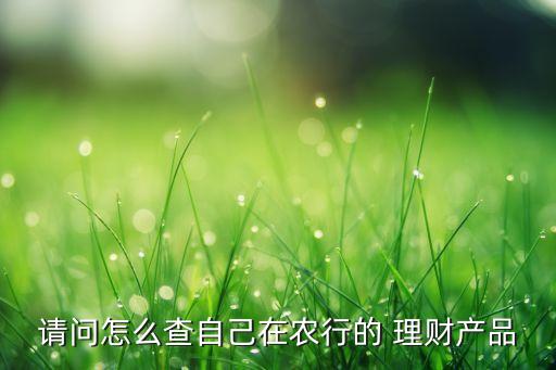 請(qǐng)問(wèn)怎么查自己在農(nóng)行的 理財(cái)產(chǎn)品