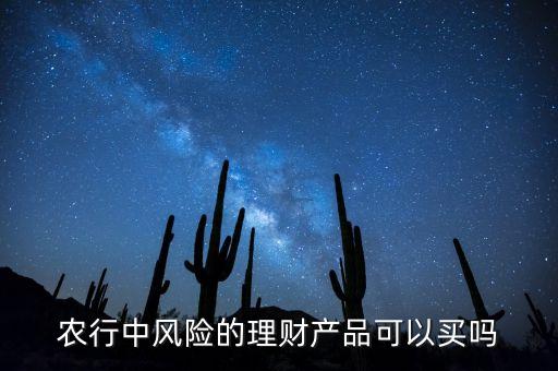 農(nóng)行中風(fēng)險(xiǎn)的理財(cái)產(chǎn)品可以買嗎