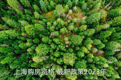 上海購(gòu)房資格 最新政策2023年