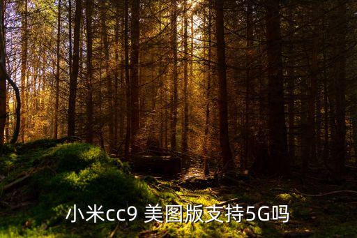 小米cc9 美圖版支持5G嗎