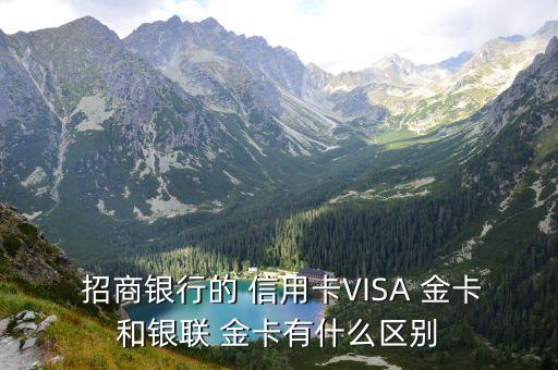  招商銀行的 信用卡VISA 金卡和銀聯(lián) 金卡有什么區(qū)別