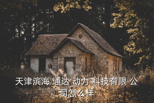 天津?yàn)I海 通達(dá) 動(dòng)力 科技有限 公司怎么樣