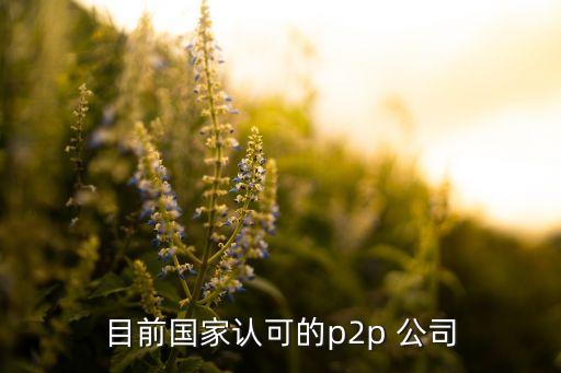 目前國(guó)家認(rèn)可的p2p 公司