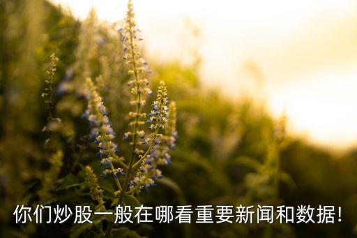 你們炒股一般在哪看重要新聞和數(shù)據(jù)!