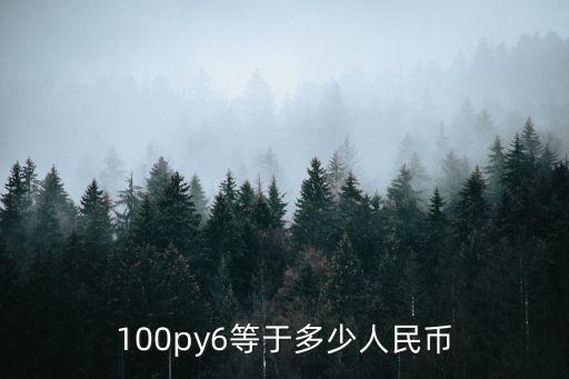 100py6等于多少人民幣