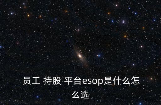  員工 持股 平臺esop是什么怎么選