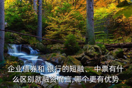 企業(yè)債券和 銀行的短融、 中票有什么區(qū)別就融資而言,哪個(gè)更有優(yōu)勢(shì)