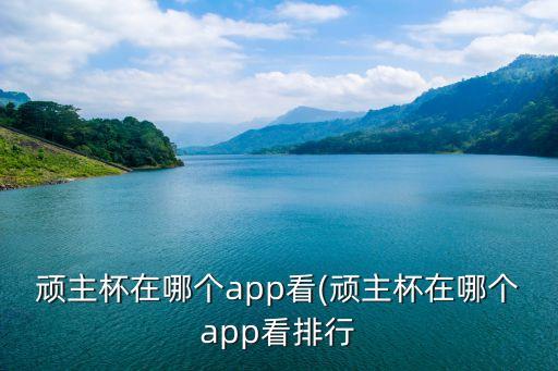 頑主杯在哪個app看(頑主杯在哪個app看排行