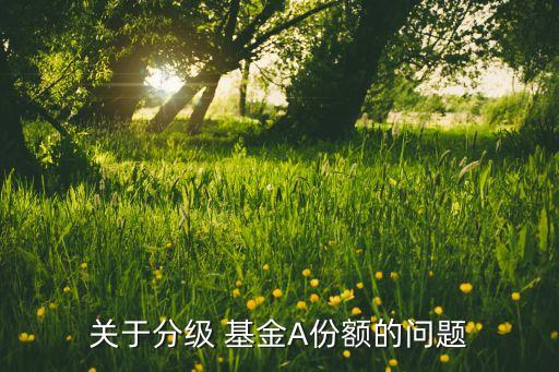 關(guān)于分級(jí) 基金A份額的問題