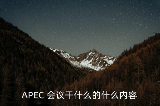 APEC 會(huì)議干什么的什么內(nèi)容