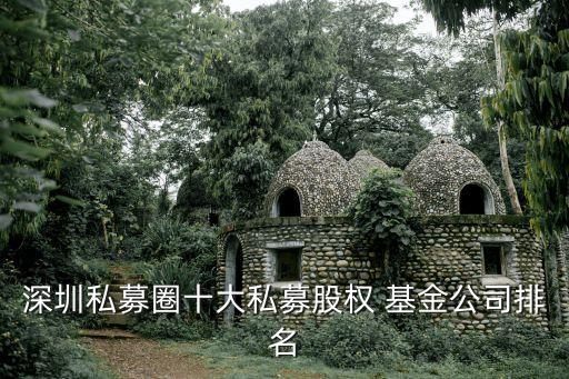 深圳私募圈十大私募股權(quán) 基金公司排名