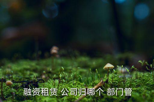  融資租賃 公司歸哪個(gè) 部門管