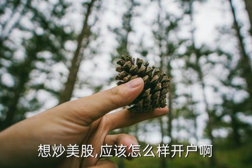 想炒美股,應(yīng)該怎么樣開戶啊