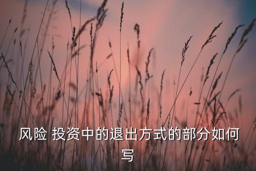  風(fēng)險(xiǎn) 投資中的退出方式的部分如何寫