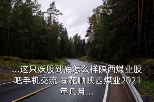 ...這只妖股到底怎么樣陜西煤業(yè)股吧手機交流 同花順陜西煤業(yè)2021年幾月...