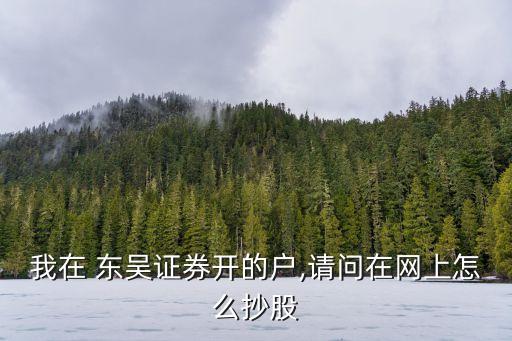 我在 東吳證券開(kāi)的戶,請(qǐng)問(wèn)在網(wǎng)上怎么抄股